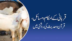 قربانی اور عشرہ ذوالحجہ کے مسائل واحکام سوال وجواب کی شکل میں